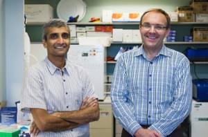 Vishy Iyer, professor of biology, and Matt Cowperthwaite, research director of St. David's NeuroTexas Institute. Photo by Alex Wang.