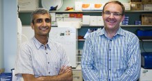 Vishy Iyer, professor of molecular genetics and microbiology, and Matt Cowperthwaite, research director of the NeuroTexas Institute at St. David's. Photo: Alex Wang