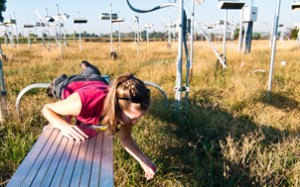 Elizabeth Carlisle reaches into a +Heat plot during plot work in Fall 2010. Photo credit Danny Walls.